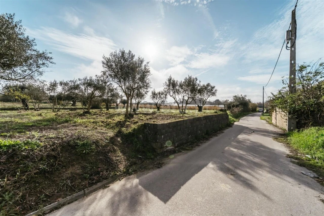 Terreno para Venda em Alcaria Foto 1