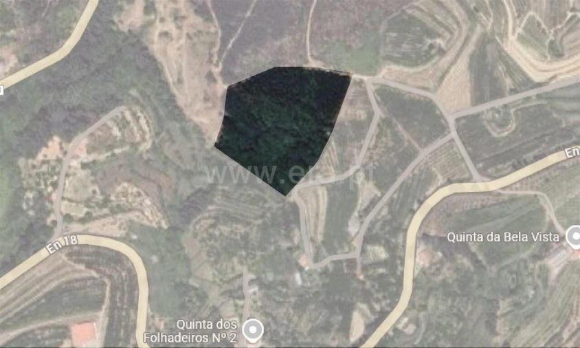 Terreno para Venda em Alcaide Foto 8