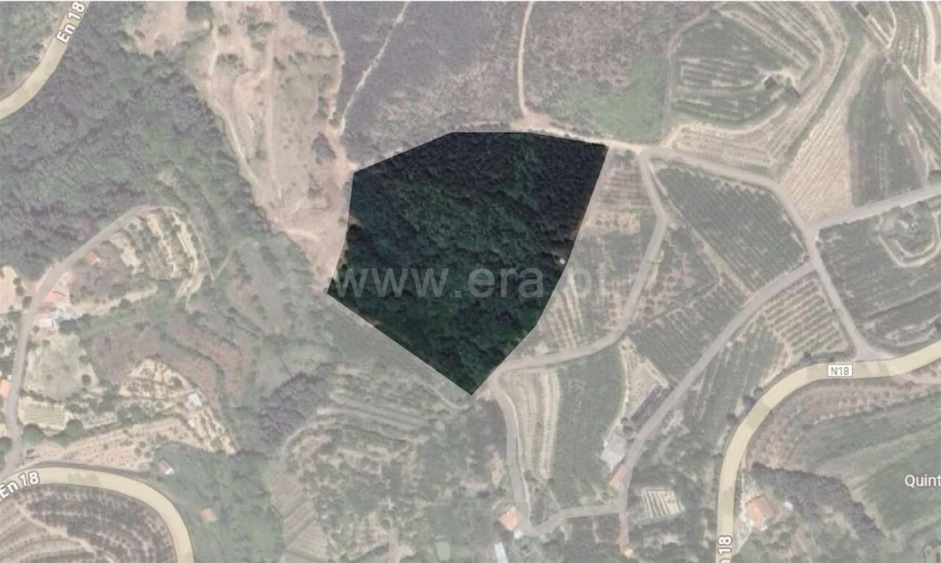 Terreno para Venda em Alcaide Foto 9