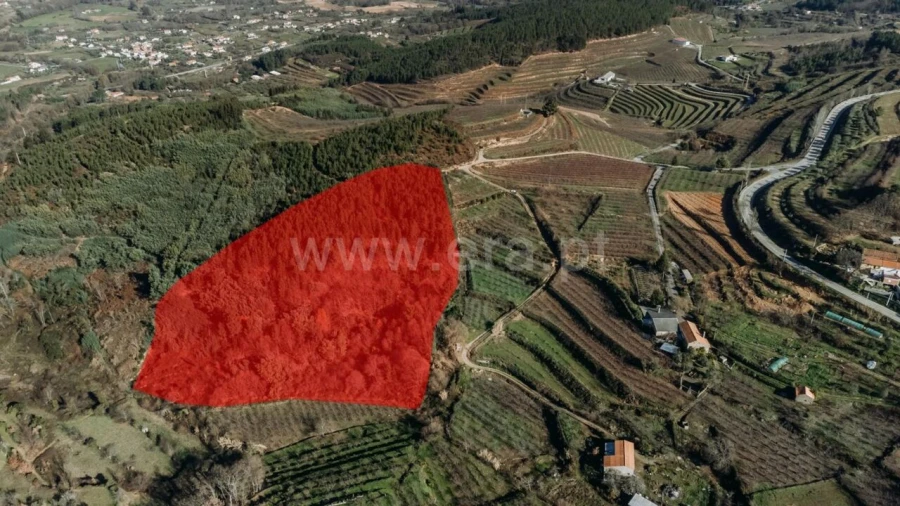 Terreno para Venda em Alcaide Foto 5