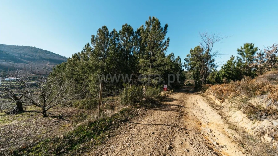 Terreno para Venda em Alcaide