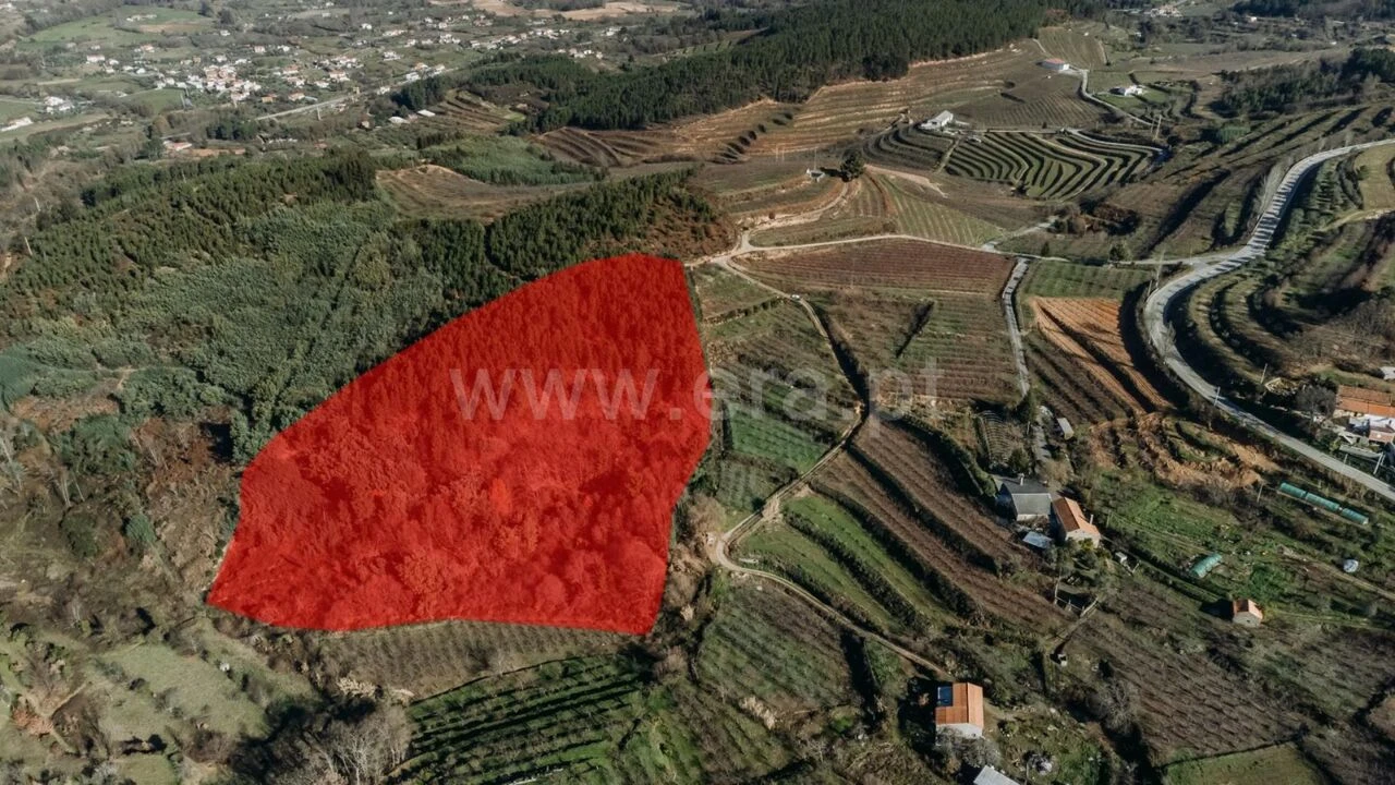 Terreno para Venda em Alcaide Foto 5