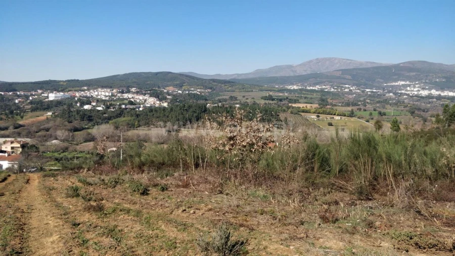 Terreno para Venda em Alcaria Foto 2