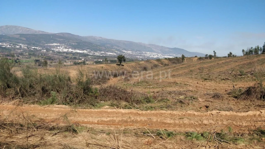 Terreno para Venda em Alcaria Foto 3