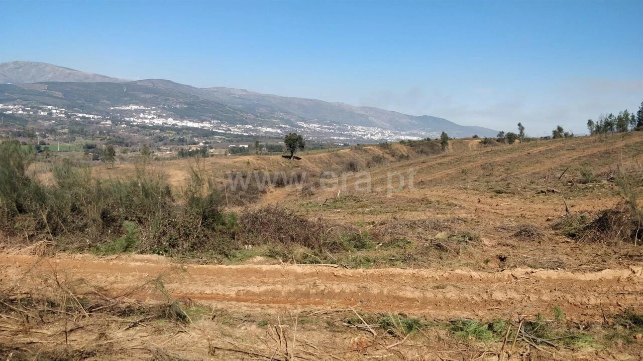 Terreno para Venda em Alcaria Foto 3