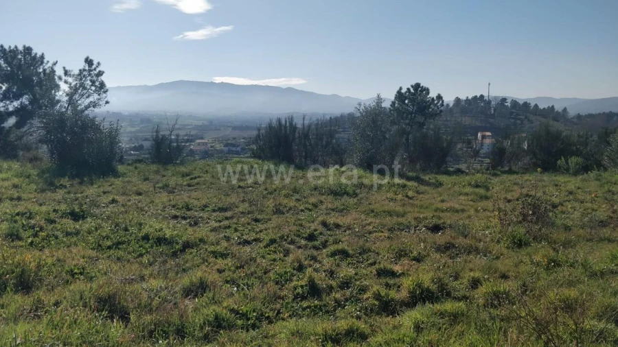 Terreno para Venda em Alcaria