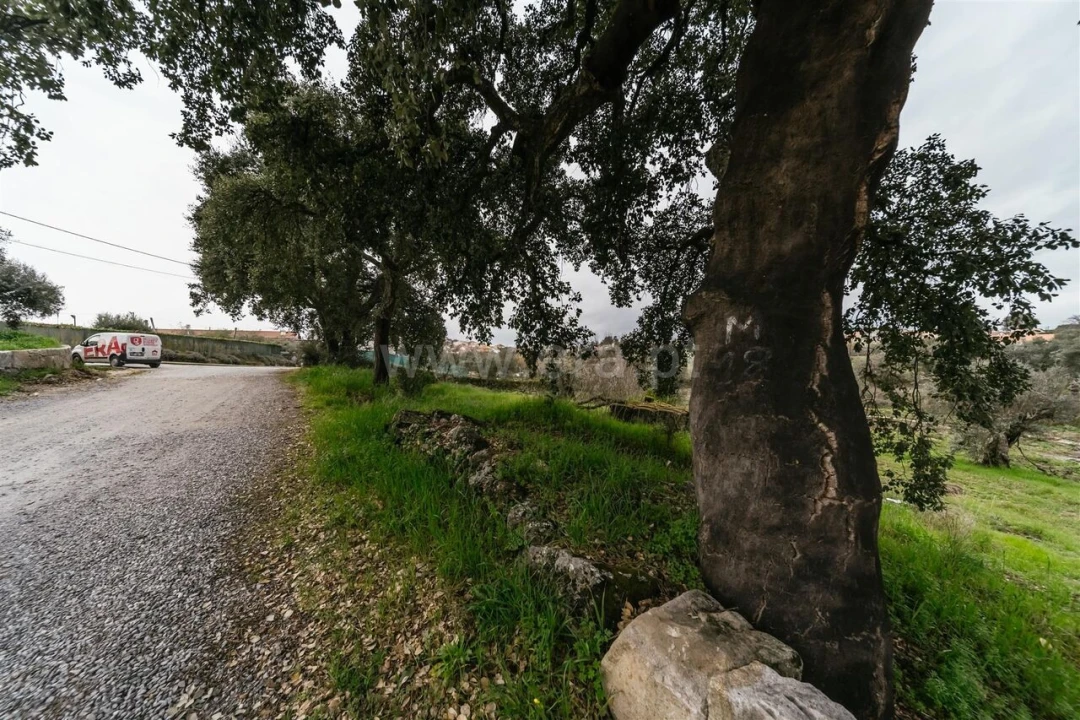 Terreno para Venda em Orca Foto 2