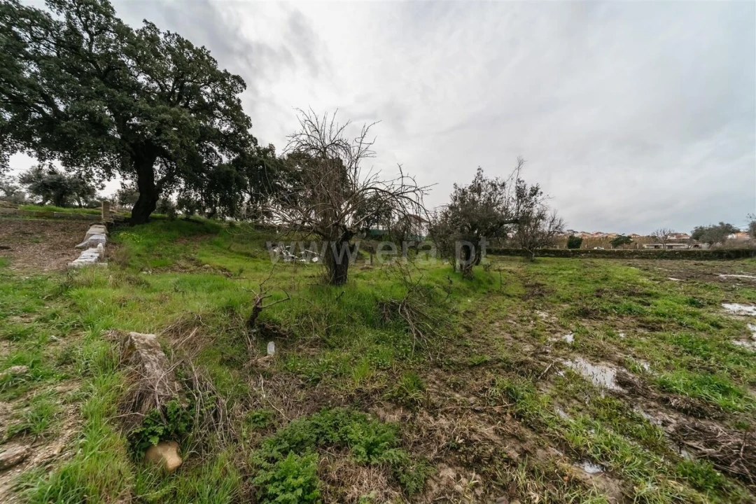 Terreno para Venda em Orca Foto 6