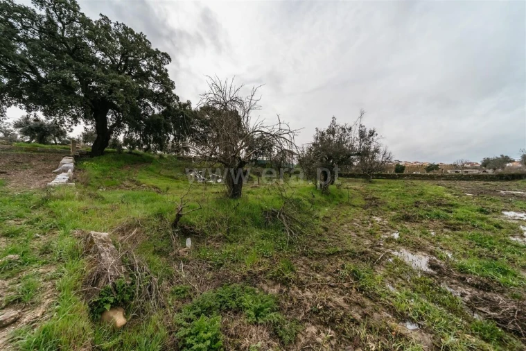 Terreno para Venda em Orca Foto 6