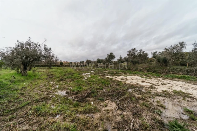 Terreno para Venda em Orca Foto 5