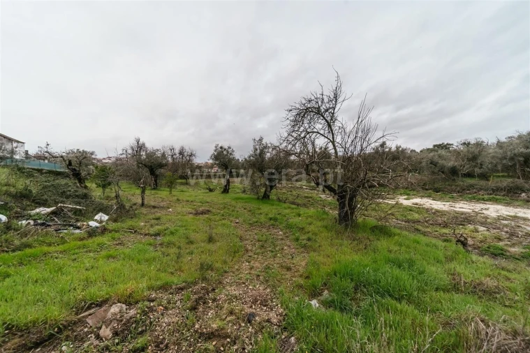 Terreno para Venda em Orca Foto 4