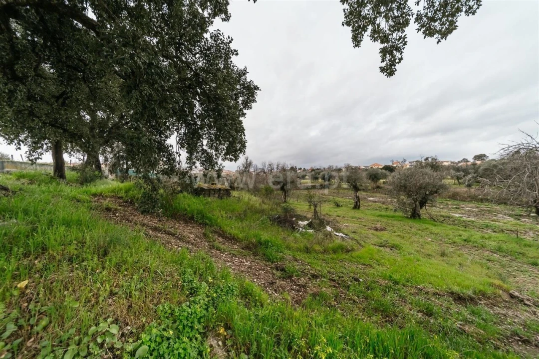 Terreno para Venda em Orca Foto 3