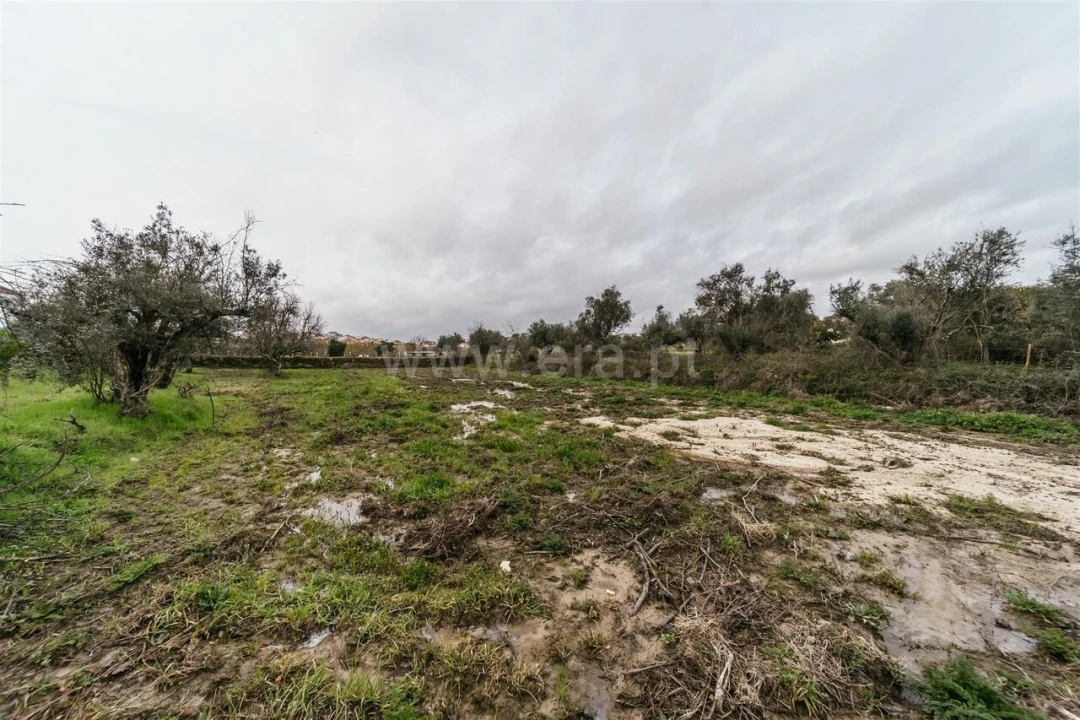 Terreno para Venda em Orca Foto 5