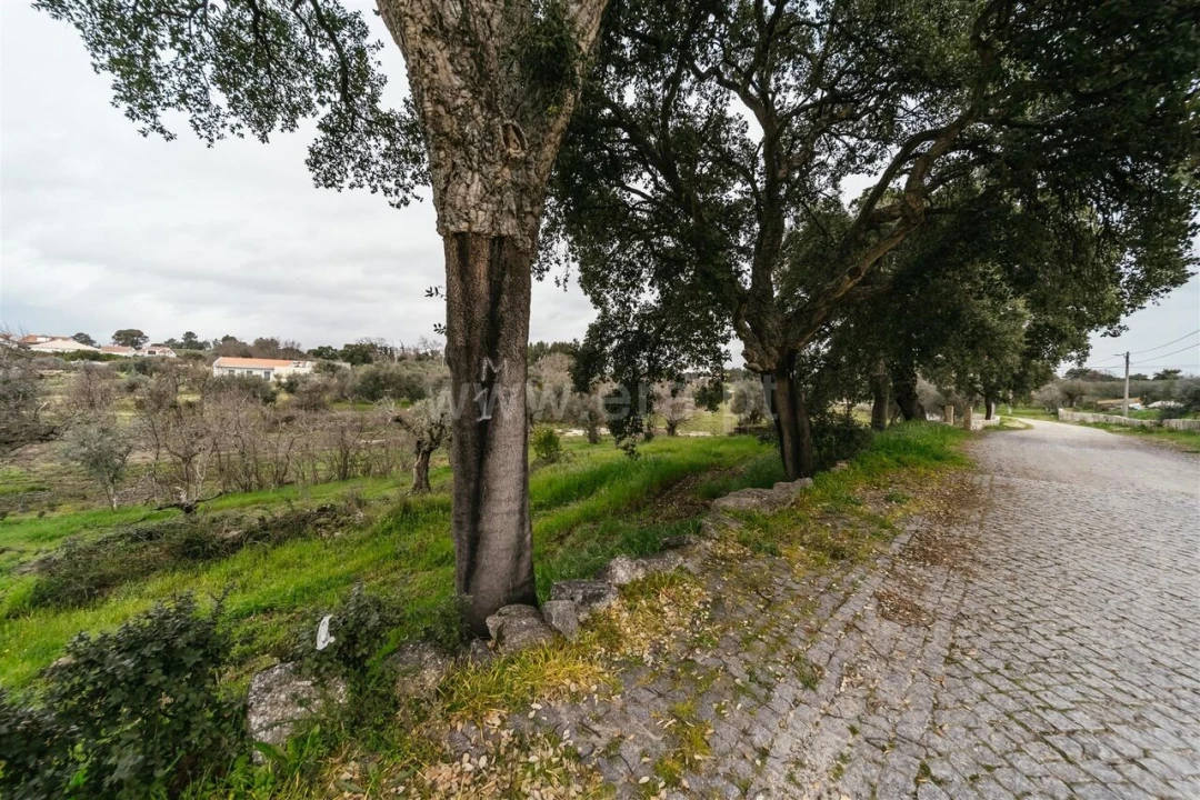 Terreno para Venda em Orca Foto 8