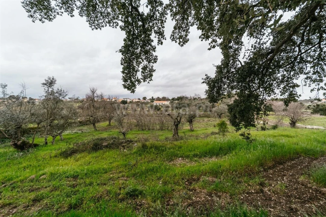 Terreno para Venda em Orca Foto 7