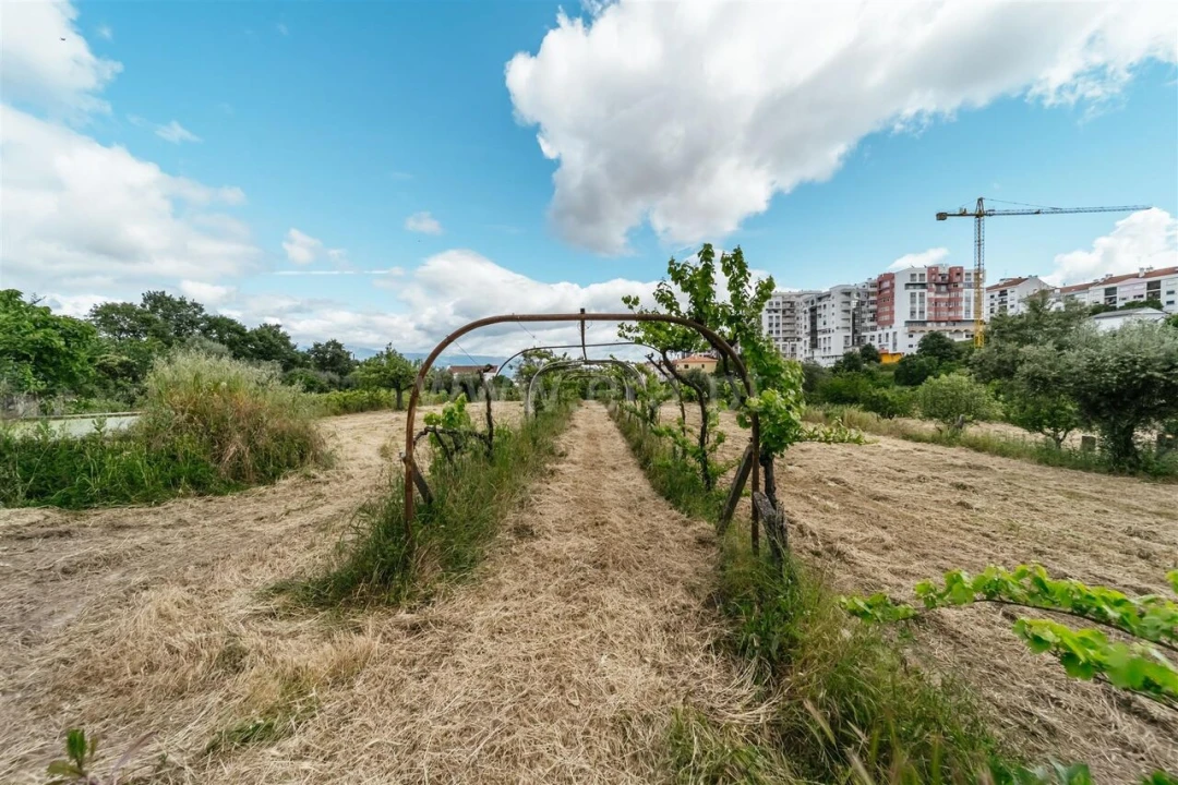 Terreno para Venda em Fundão, Valverde, Donas, A. Joanes, A. Nova Cabo Foto 2