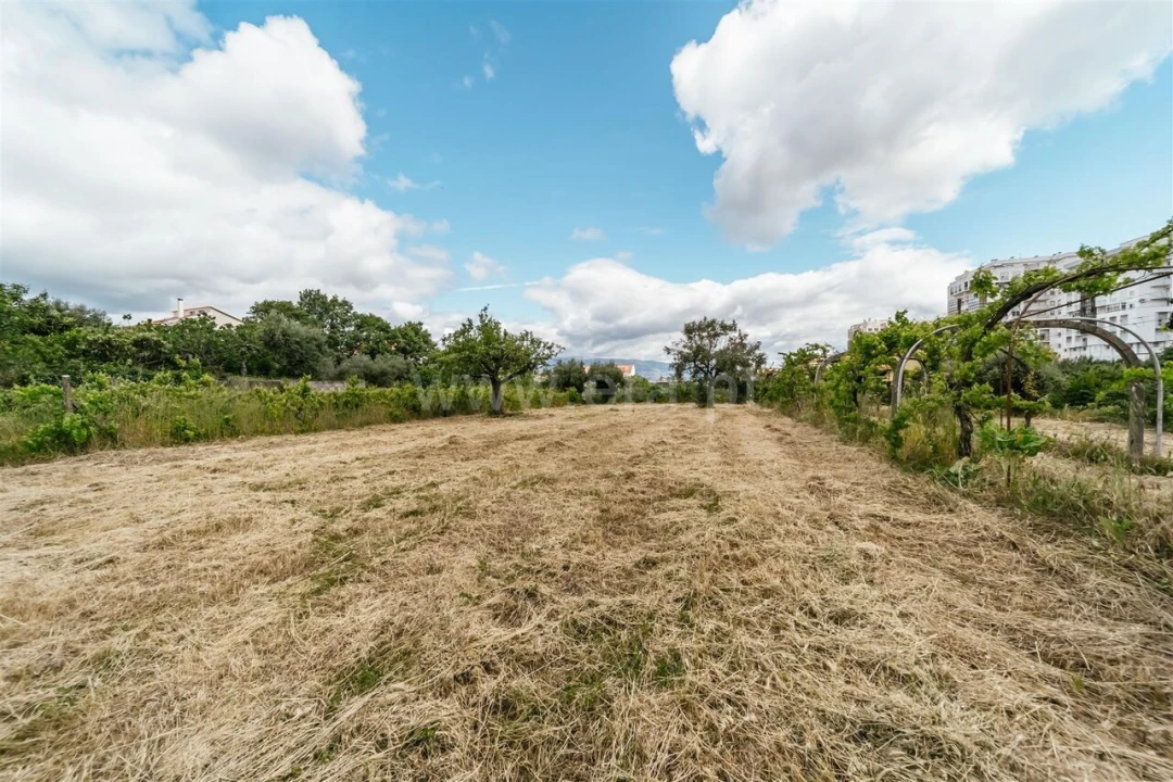 Terreno para Venda em Fundão, Valverde, Donas, A. Joanes, A. Nova Cabo Foto 3