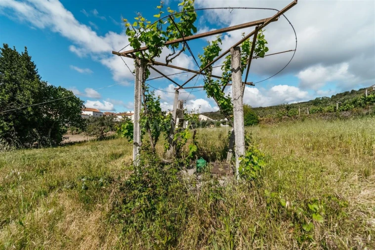 Terreno para Venda em Telhado Foto 4