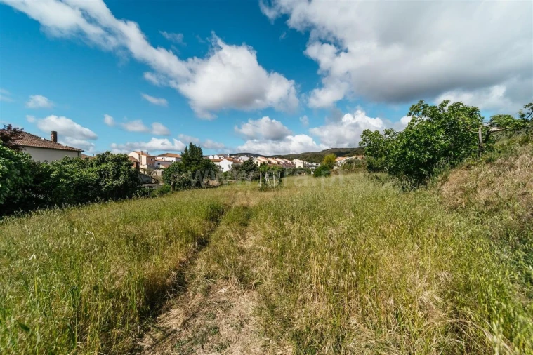 Terreno para Venda em Telhado Foto 3