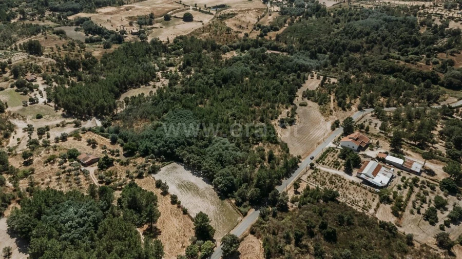 Terreno para Venda em Soalheira Foto 2