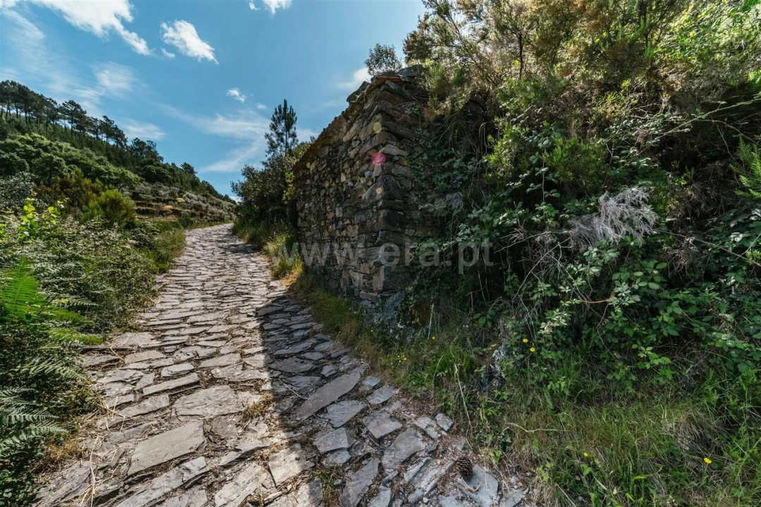 Terreno para Venda em Bogas de Cima Foto 2