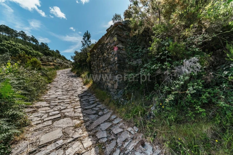 Terreno para Venda em Bogas de Cima Foto 2