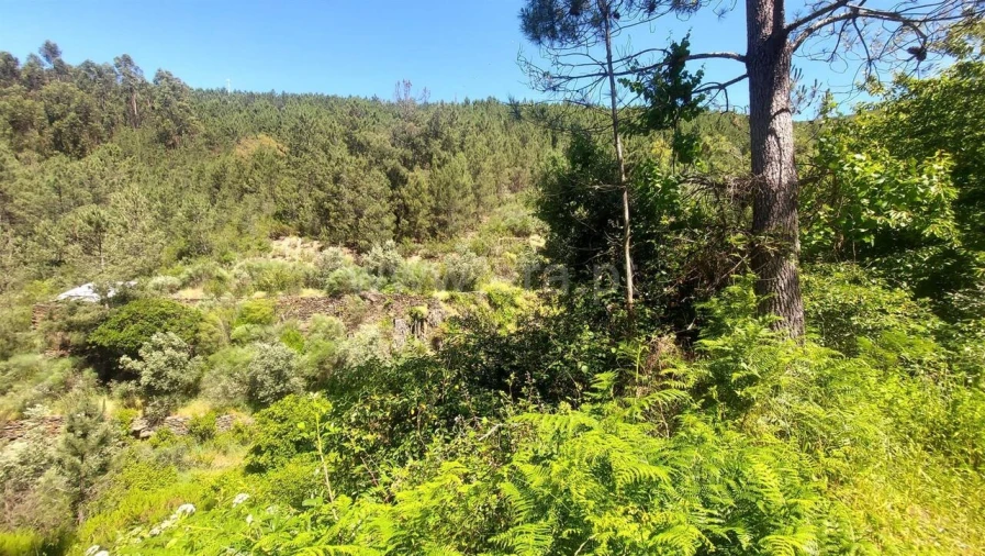 Terreno para Venda em Bogas de Cima Foto 13