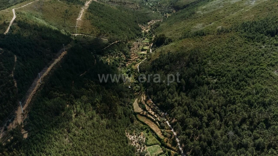 Terreno para Venda em Bogas de Cima Foto 4
