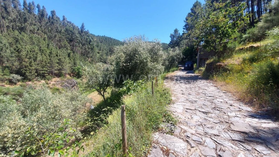 Terreno para Venda em Bogas de Cima Foto 12