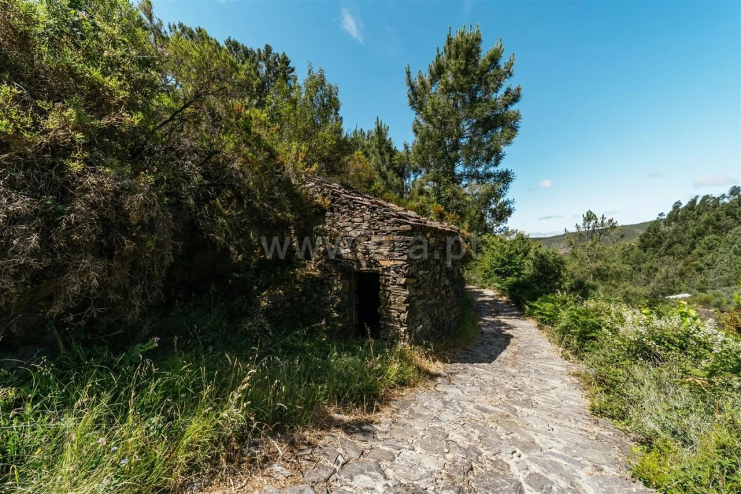 Terreno para Venda em Bogas de Cima Foto 1