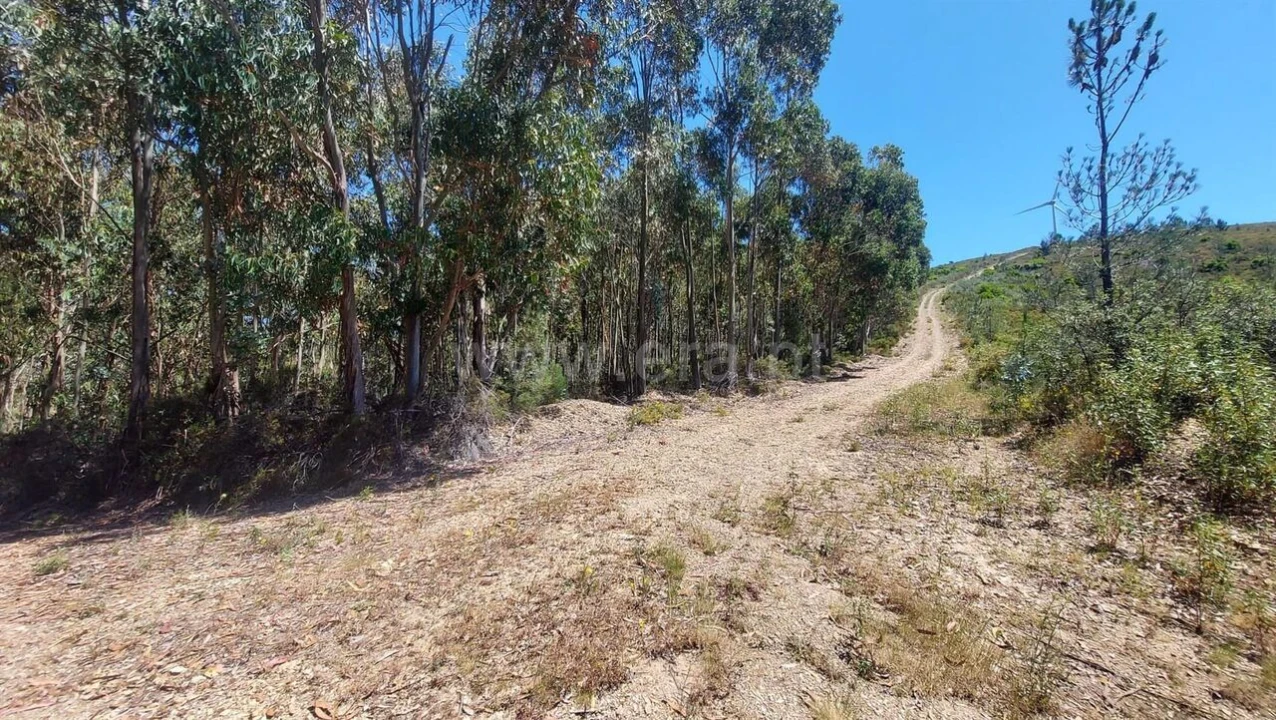 Terreno para Venda em Bogas de Cima Foto 14