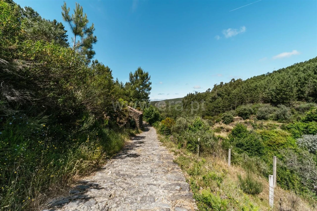 Terreno para Venda em Bogas de Cima Foto 9