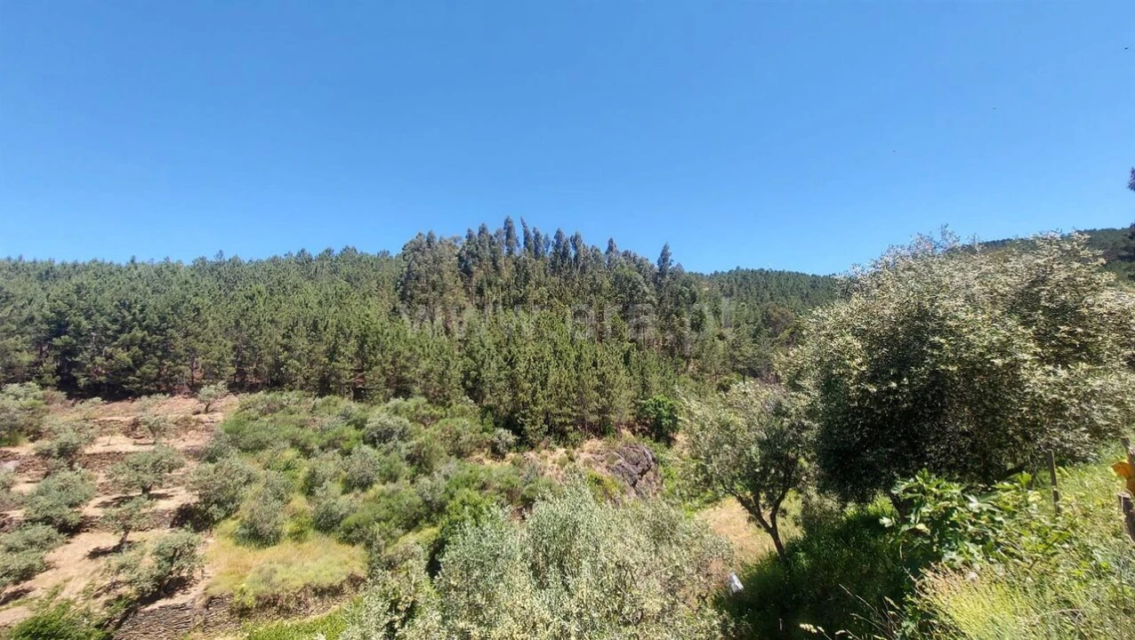 Terreno para Venda em Bogas de Cima Foto 11