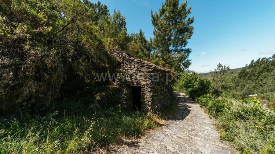 Terreno para Venda em Bogas de Cima