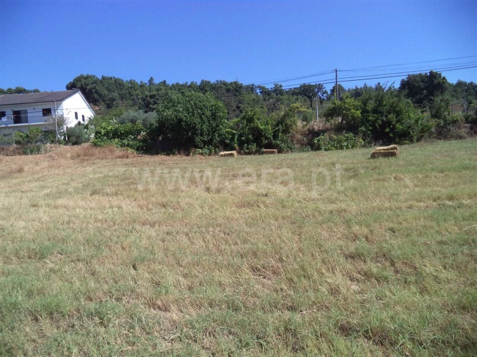 Quinta T0 para Venda em Pero Viseu Foto 6