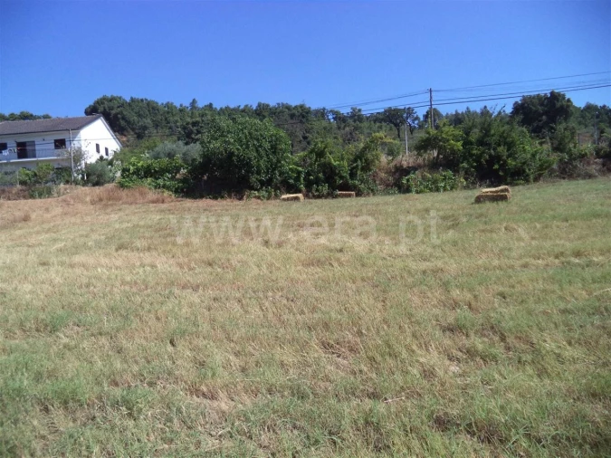 Quinta T0 para Venda em Pero Viseu Foto 6