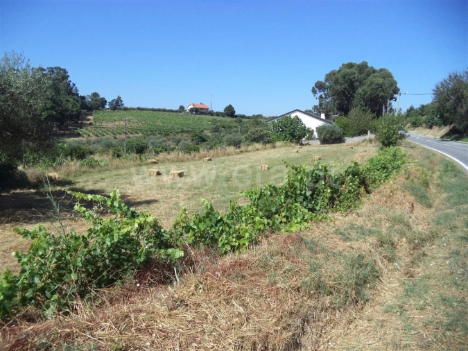 Quinta T0 para Venda em Pero Viseu Foto 2