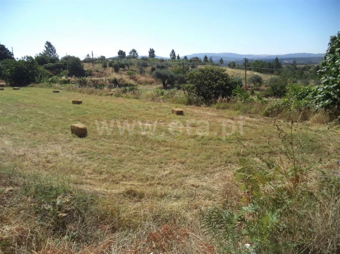 Quinta T0 para Venda em Pero Viseu Foto 4