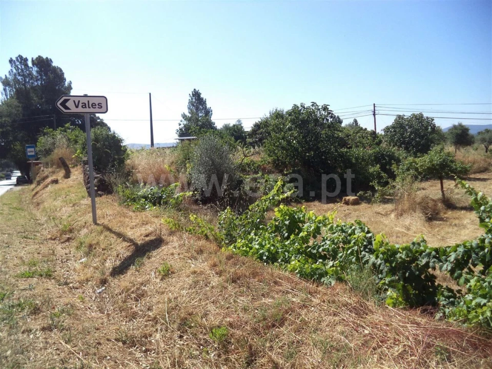 Quinta T0 para Venda em Pero Viseu Foto 3