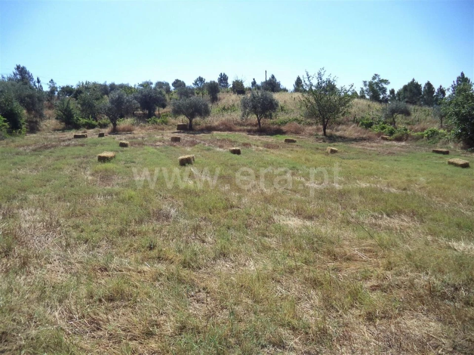 Quinta T0 para Venda em Pero Viseu Foto 5