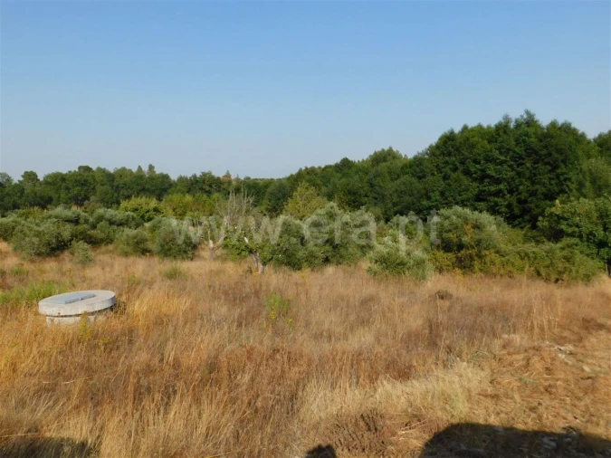 Terreno para Venda em Enxames Foto 3