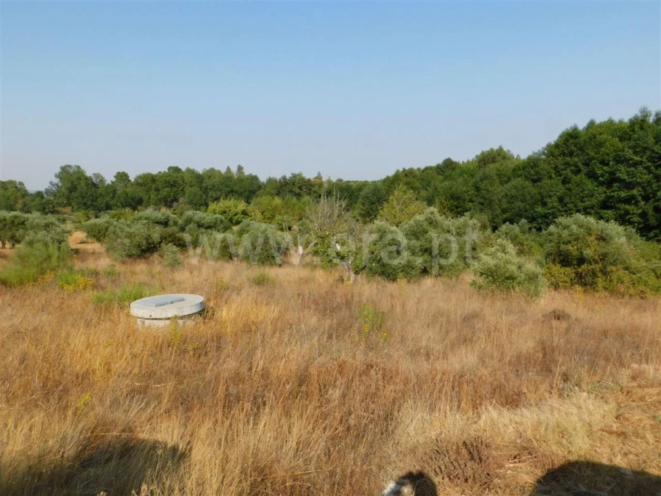 Terreno para Venda em Enxames Foto 2