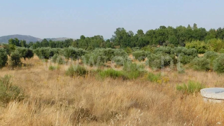 Terreno para Venda em Enxames