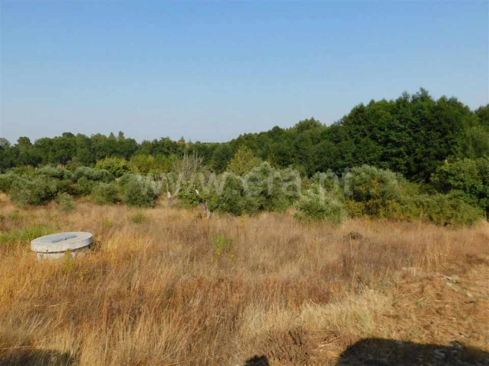 Terreno para Venda em Enxames Foto 3