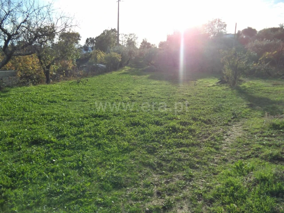 Terreno para Venda em Capinha Foto 6