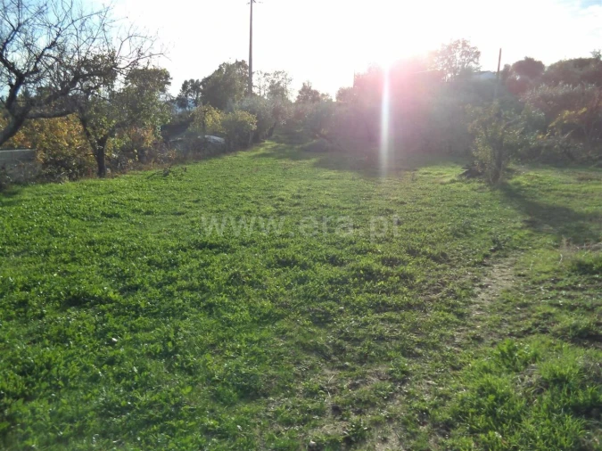 Terreno para Venda em Capinha Foto 6