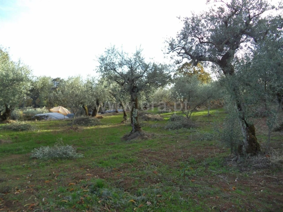 Terreno para Venda em Capinha Foto 2