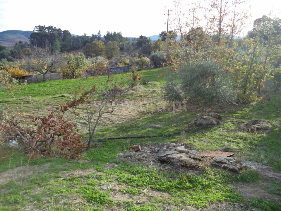 Terreno para Venda em Capinha Foto 9