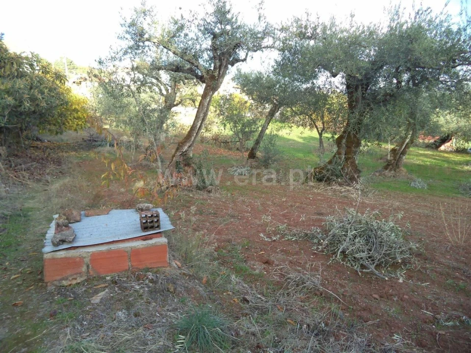 Terreno para Venda em Capinha Foto 8