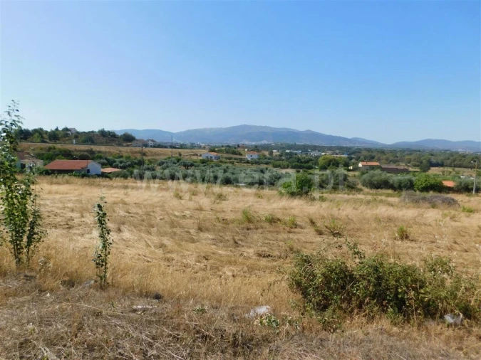 Terreno para Venda em Alcaria Foto 4